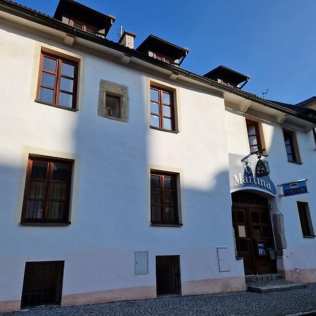 Pension U Martina Domazlice Bagian luar foto